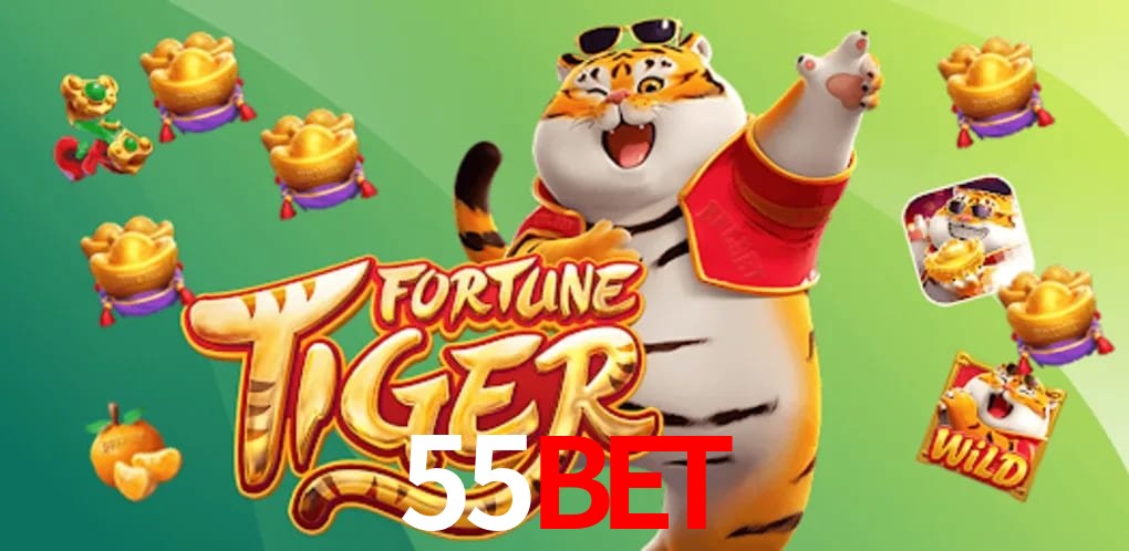 Experiência VIP 55bet